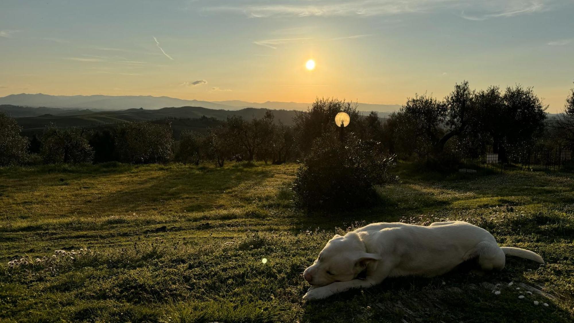 Agriturismo Soiano Famiglia Rolfini 몬타이오네 외부 사진
