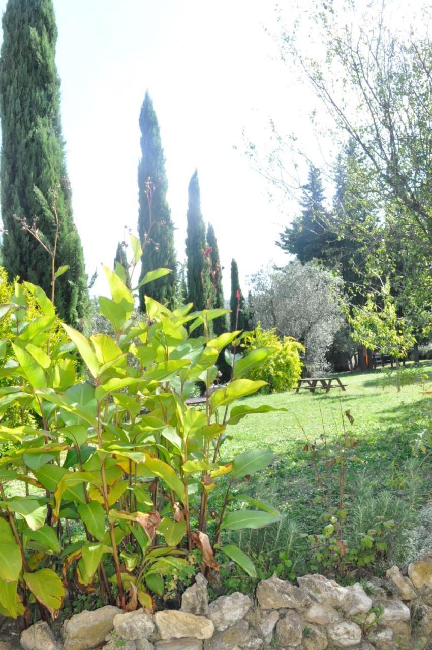 Agriturismo Soiano Famiglia Rolfini 몬타이오네 외부 사진
